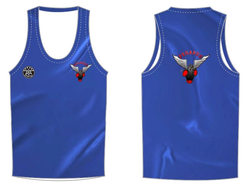 Boxxerworld Fight or Flight Blue